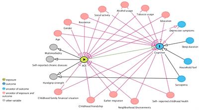 Longitudinal association of adverse childhood experiences with cognitive function trajectories among middle-aged and older adults: group-based trajectory modeling